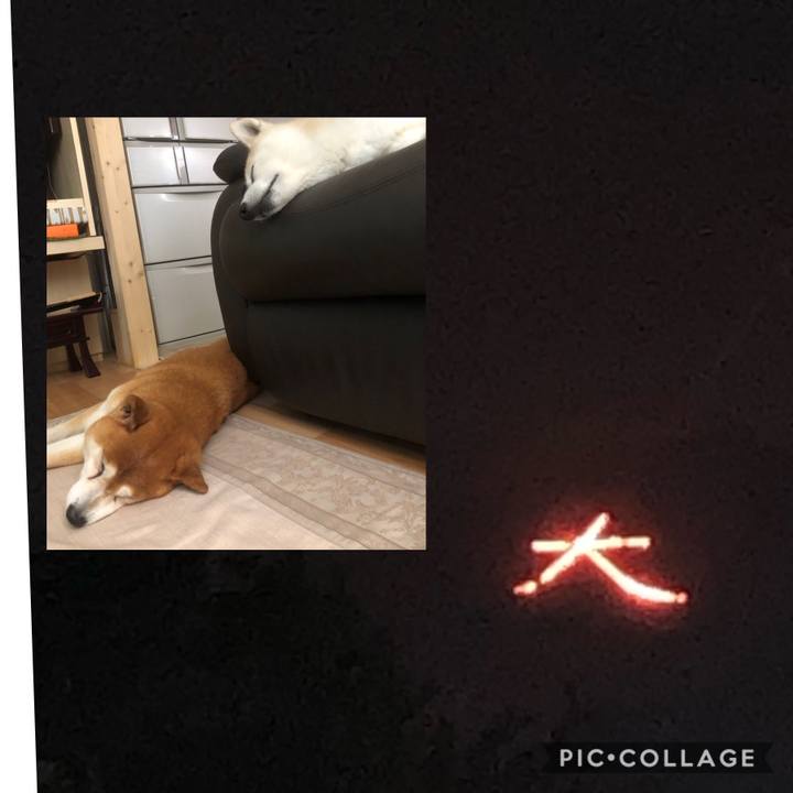 D9a28d05 d78f 4095 a01e 1126ed0514a9 1565959111803