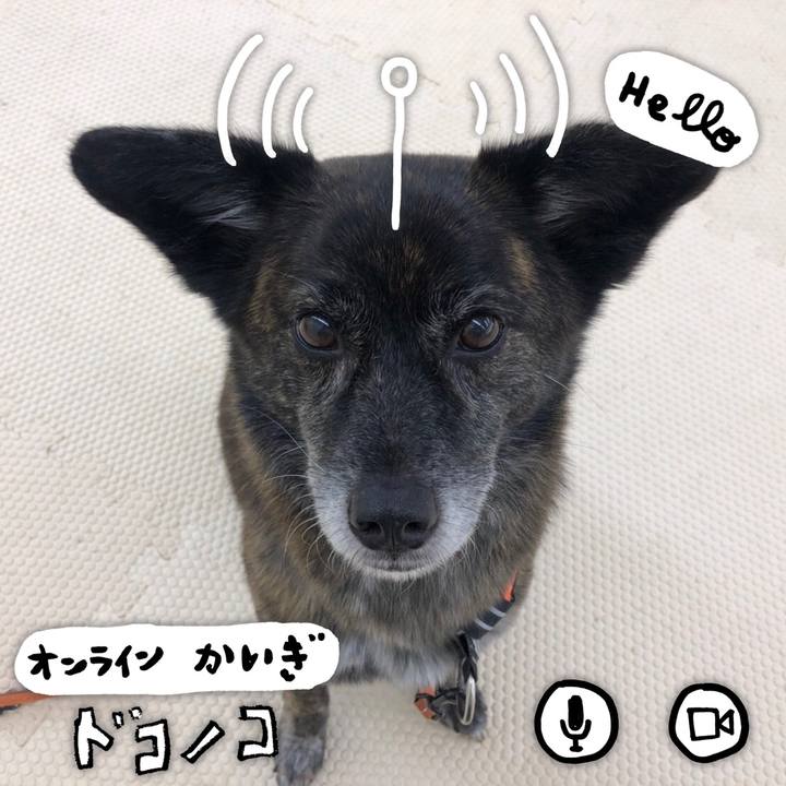 D9a2b64c d96f 4e3f a8ad 2b322e290205 1593151582354