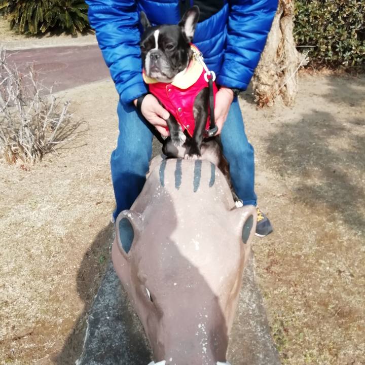 D9a2c27e fe2d 4c03 9740 541a6231e27a 1547986125036