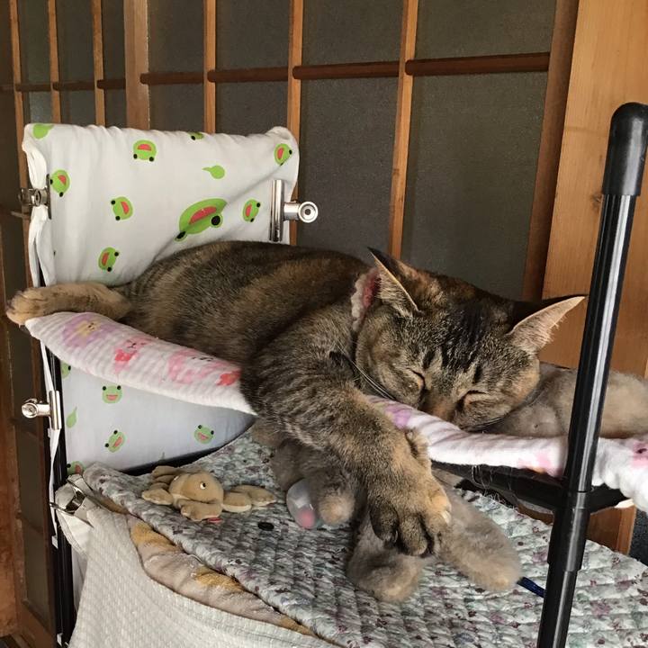 D9a2f8ea f7f0 4038 bf24 69550ba26378 1626054880379