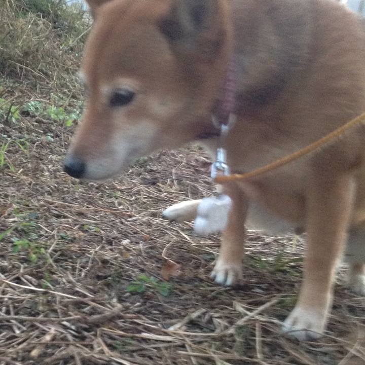 D9a3257d 0db5 459e bbca 98e6fa6bb96b 1512805759457