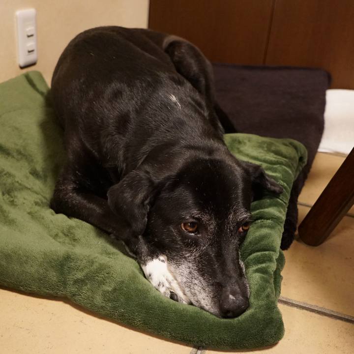 D9a34ec5 2af8 4079 b3fc 08816208bac9 1774223826749