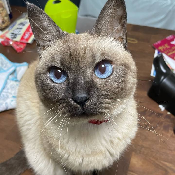 D9a38445 9f06 497d ab0b 008e729d3a07 1765677912738