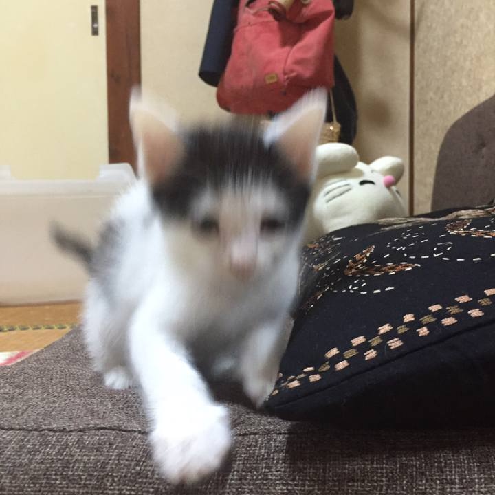 D9a39a28 1636 4f8f 89f5 81438fbd609b 1524311064860