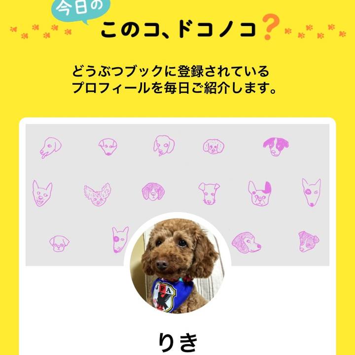 D9a3bf9a 4a22 47e7 8681 f0832c21db40 1579399433006