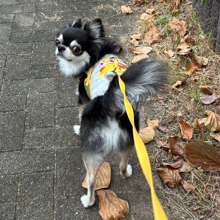 D9a3f8b1 7ce6 4dff 9f1c 9cd9e192e692 1729960701356