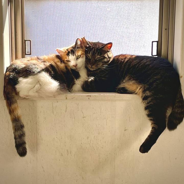 D9a43c7d 8c4d 40cb 9fb4 cc663ea92360 1712237036545