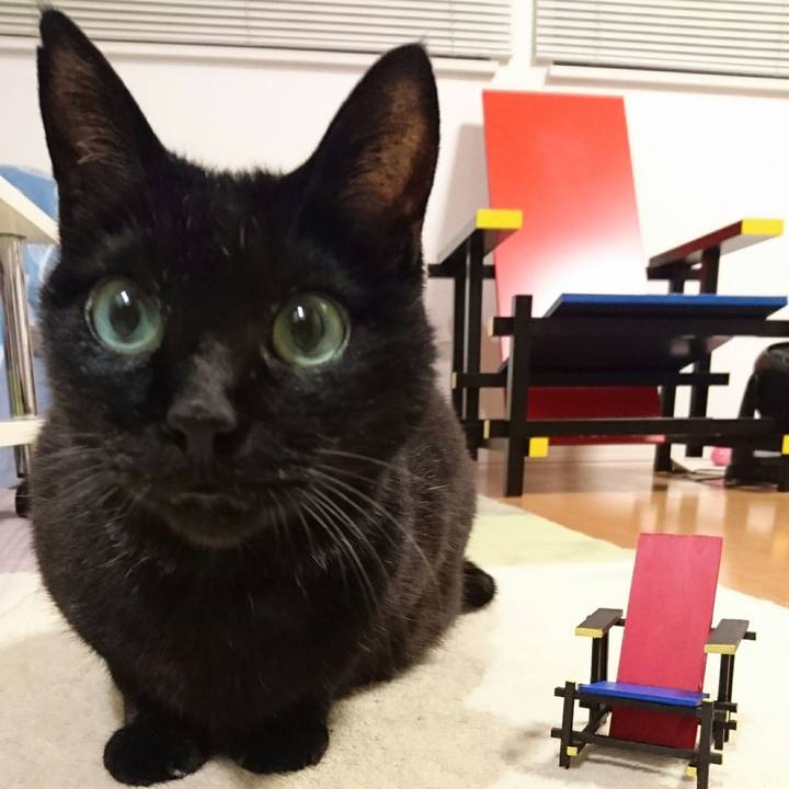 D9a44327 aaf7 4eae ac39 fbb8eb224a28 1509023685571