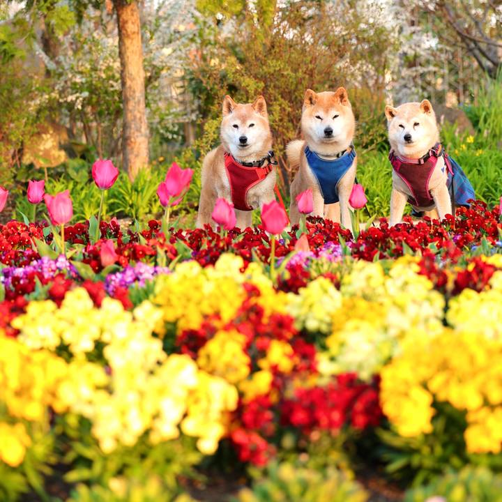 D9a447f5 f141 40c2 96f9 819355d53f1a 1774366061023