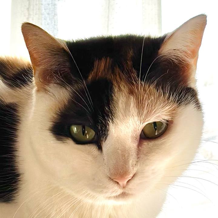 D9a44e73 c26e 4ebf 977a e677a866a615 1711417853178