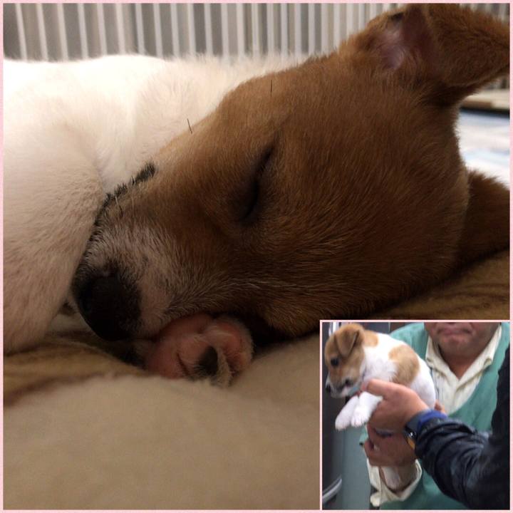 D9a45708 979c 43ef 9cd5 c7190044b315 1543998646561