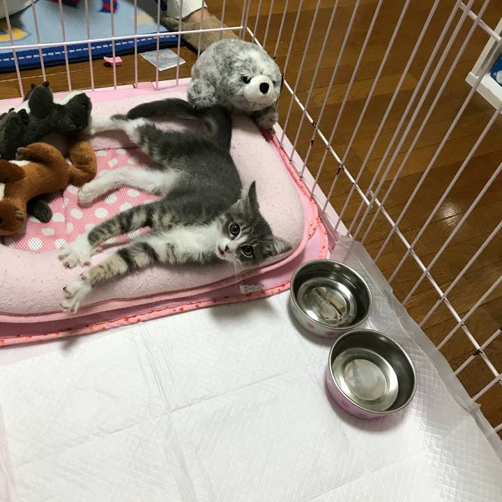 D9a4632f deef 44c7 905e 098430a8151d 1530016530468