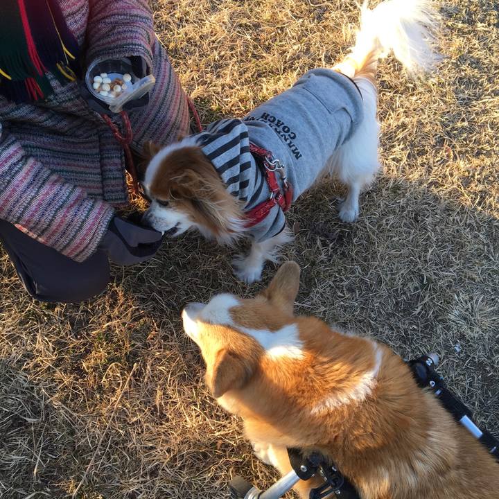 D9a4add8 22a9 4769 a38d 560b1269f600 1548975816796