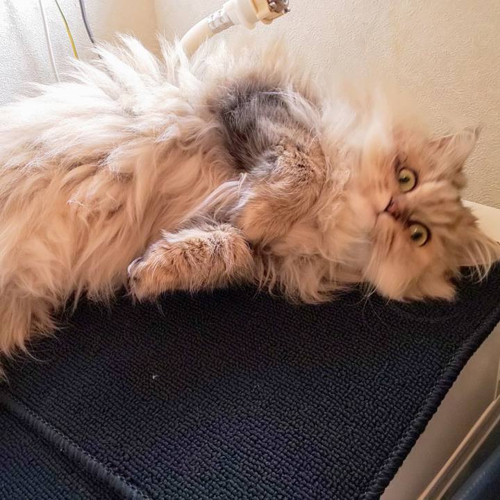 D9a51639 3220 4a0c b68b ada4789dc2d0 1604537616714