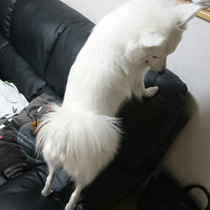 D9a52339 9398 4499 9b35 bf521ada34db 1509805766393