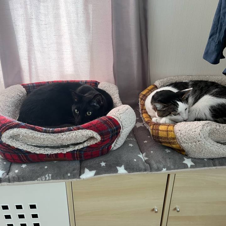 D9a52b6d cd93 423f 82a9 8cf6a14a1c26 1714111005973