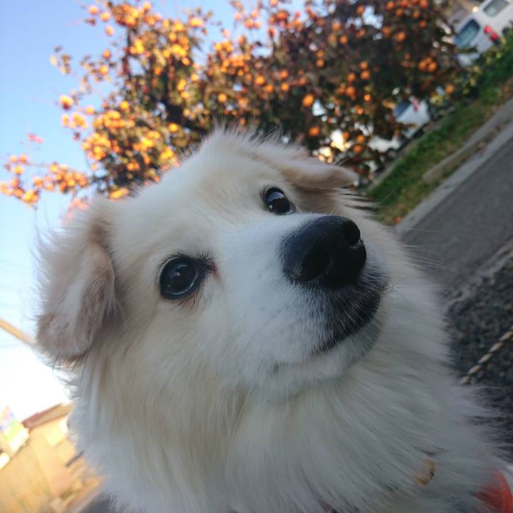 D9a54d75 28b7 46ef a1e3 9664d40c2070 1542524855702