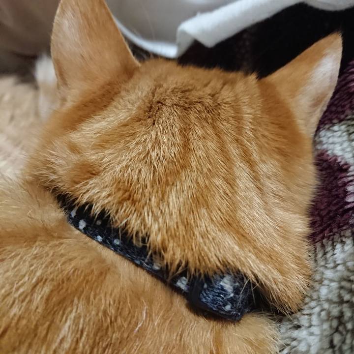 D9a54e93 534a 4971 9e44 a31d86fd4b48 1642077830617