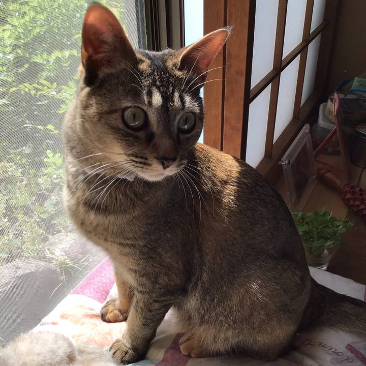 D9a599fb a16b 4ad9 b3ea 1692536dd583 1587527685853