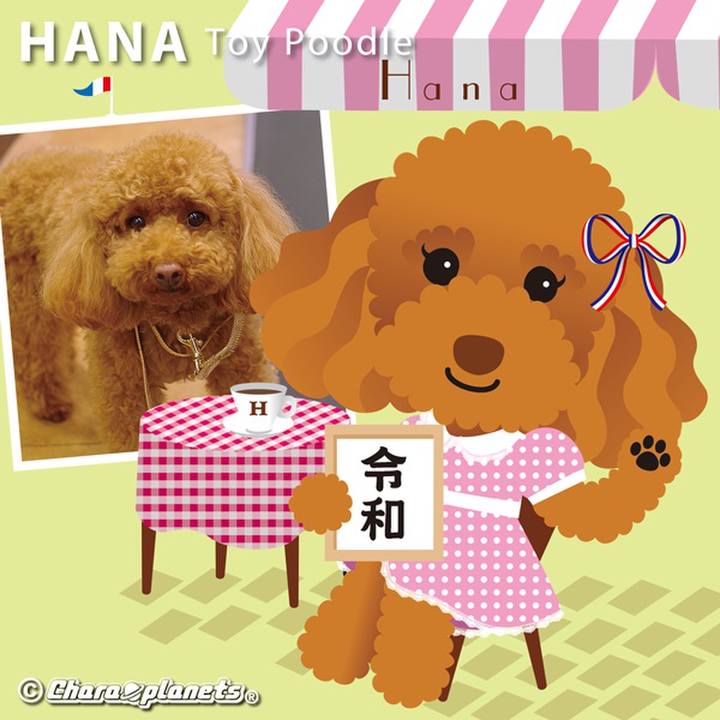 D9a5c71d 3885 40ca 8d61 482d8ca92043 1568707826385