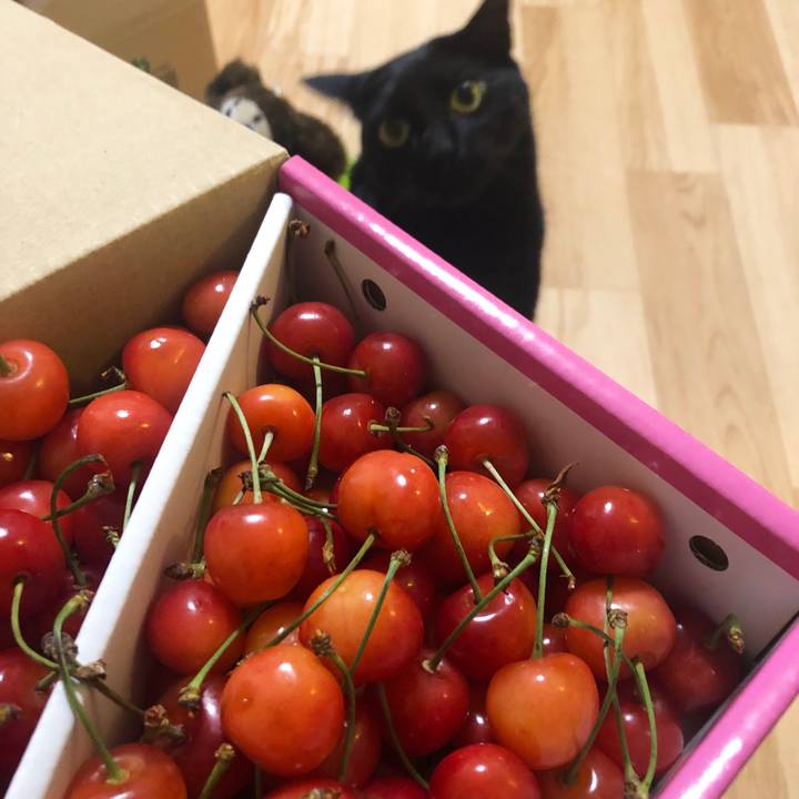 D9a6095f 30fc 4cf0 a3b5 d3b7bbaef82f 1561066259013