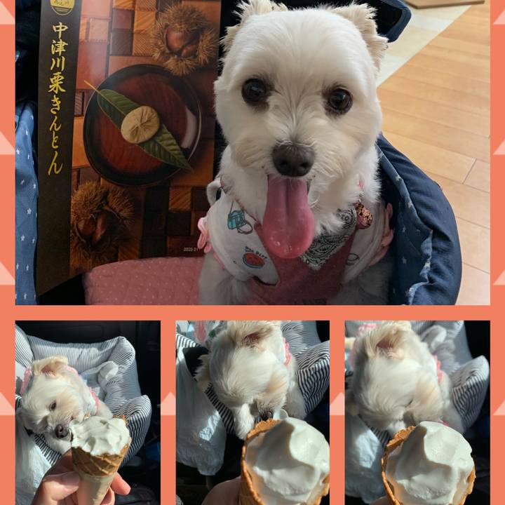 D9a673e2 f10f 4dfe bd83 383046a921ff 1600513768674