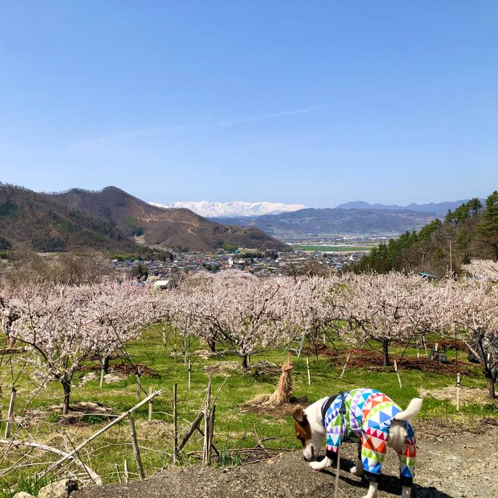 D9a6b9f9 89e0 4c73 87d2 31ae895de8af 1633525922161