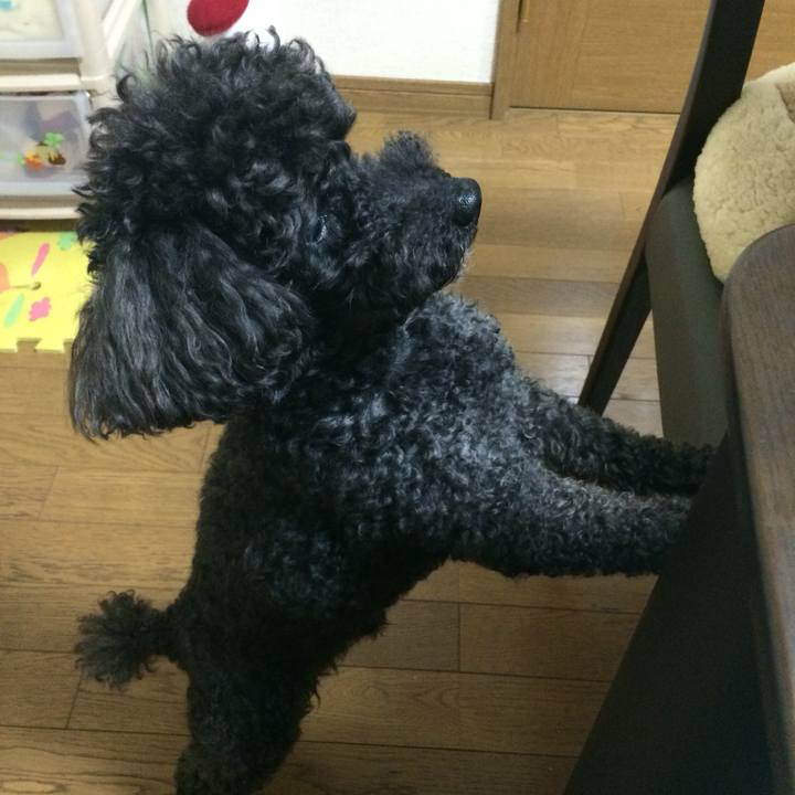 D9a6bca3 8e05 47bb 966c a4f4c4fa6c02 1772496799188