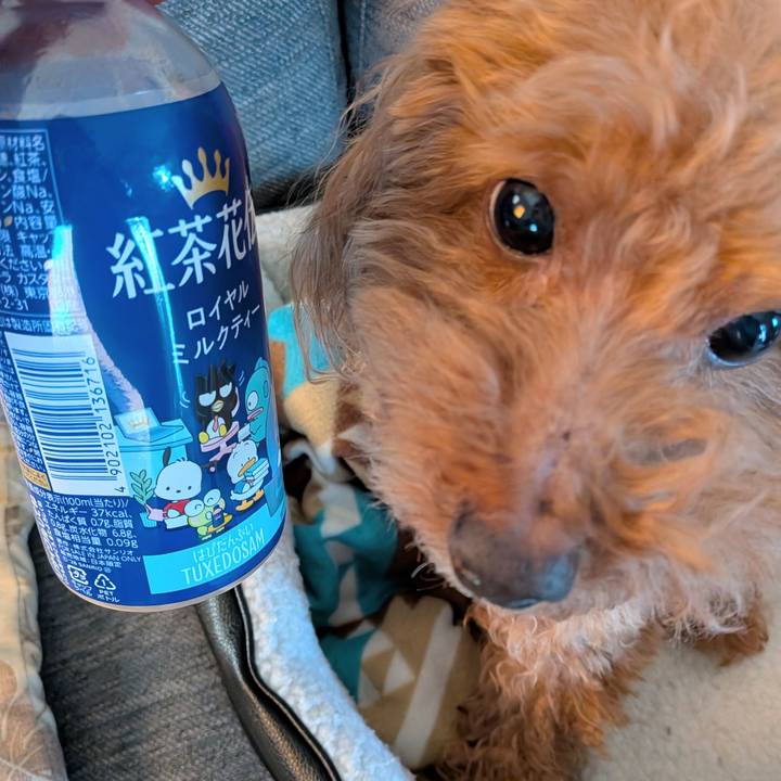 D9a6dbd9 91a6 463f 8f8c f1ba6d0e5916 1771658008022