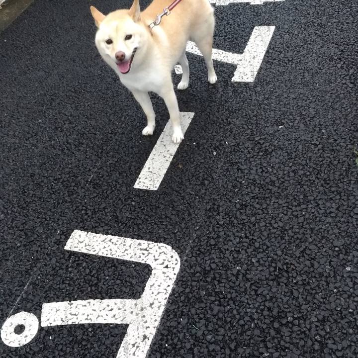 D9a70526 4711 49e2 a404 642ce9e8be59 1600638957019