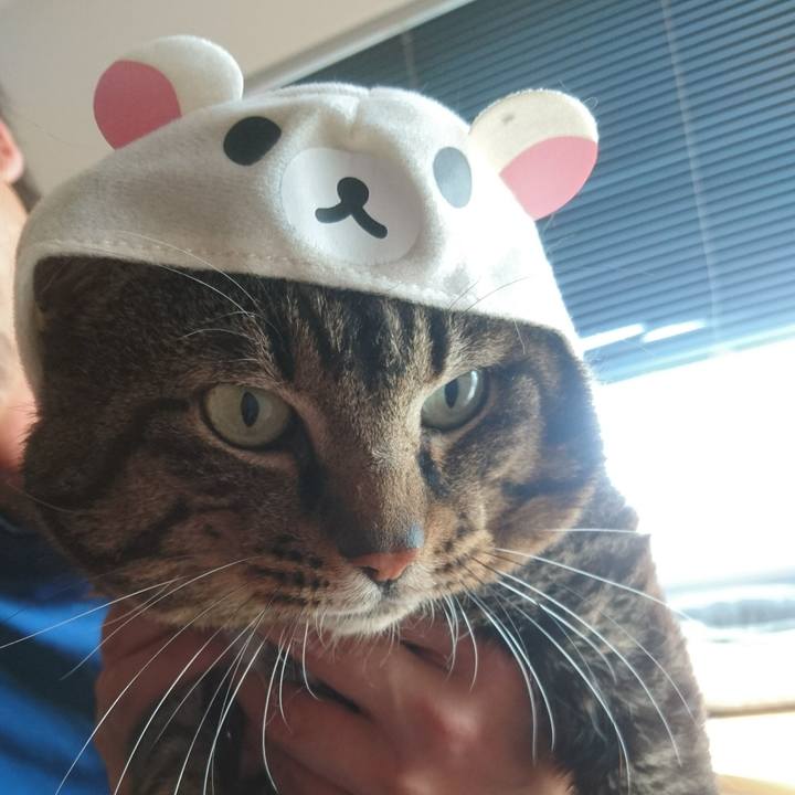 D9a70803 8cbe 4189 b2d2 7675b2fe5ba7 1528618851275