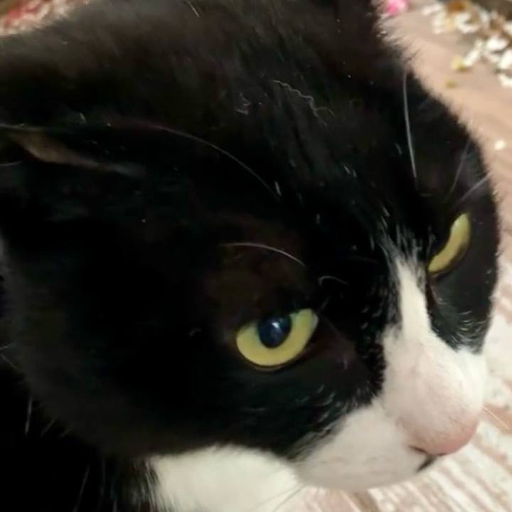 D9a70c6e cd46 4435 803c 4b6e6cda766d 1742126709889