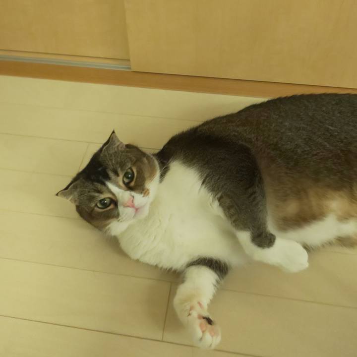 D9a70d20 b3b9 4084 8881 7467414ad917 1565955562650