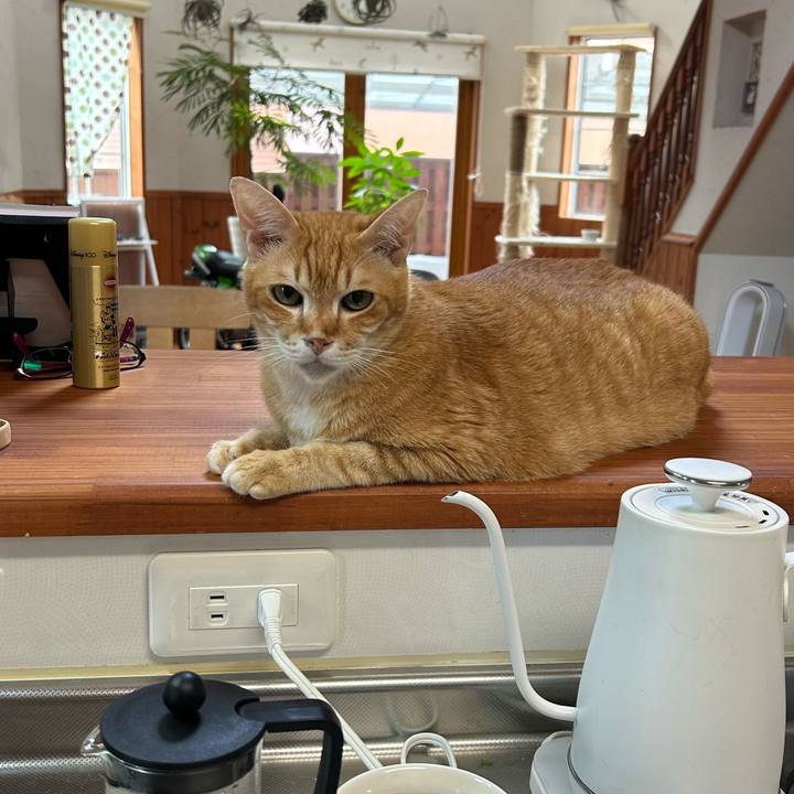 D9a71d59 640e 4827 b40d 7969e759ae9b 1687384030385