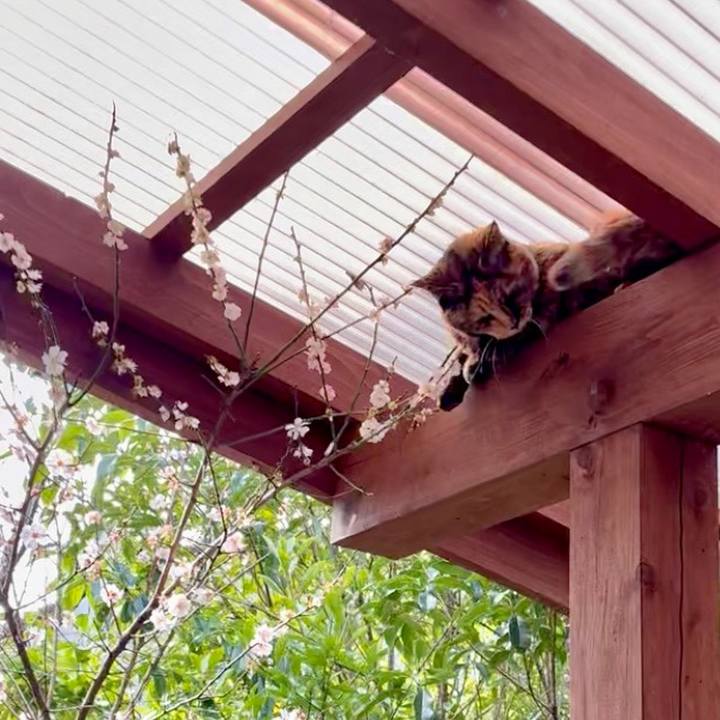 D9a78ec9 03b2 42fb b459 fe10758e9bdb 1772680883174