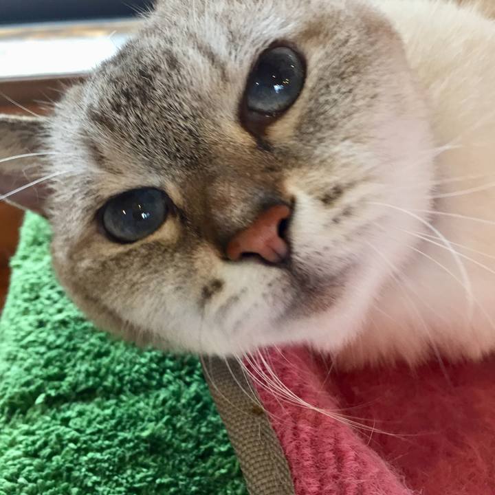 D9a7b88b 2a48 487b bd26 f8b7a53bd892 1569117414178