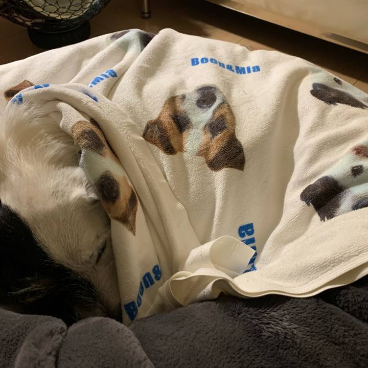 D9a7dddc 1126 4b6a b2cd 331229dcef6b 1643201550870