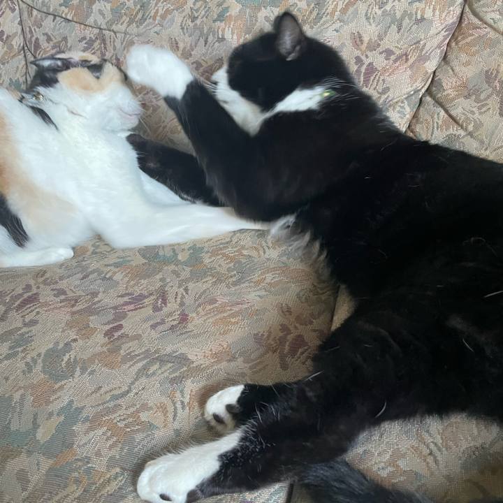 D9a7ecdc 2850 4498 b967 5fee0bf60496 1694672053431