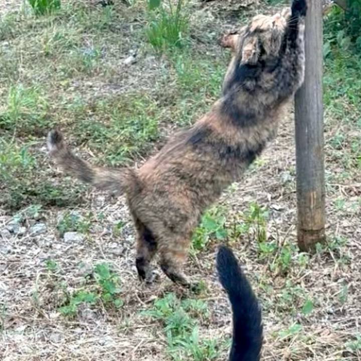 D9a83afc 872c 4e35 97de 0572b135630e 1753358147874