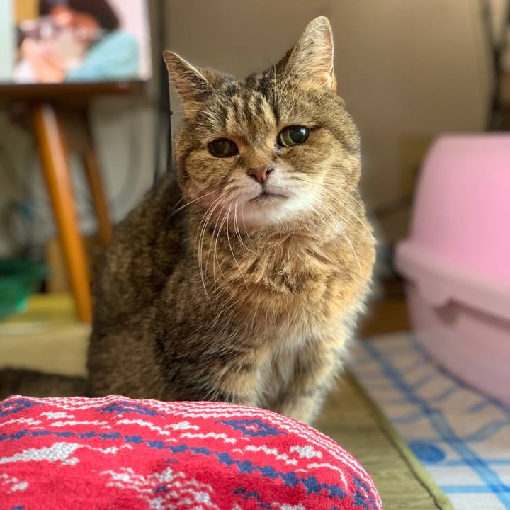 D9a84604 7eca 4dfc a9a4 819953c4e17a 1575369305819