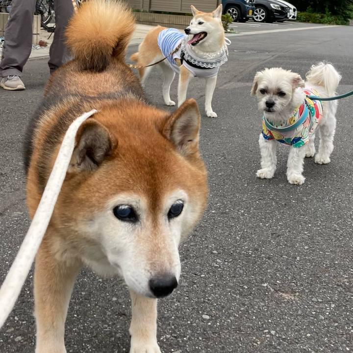 D9a86852 a505 4700 8f64 b3b3692a3f70 1720688851021