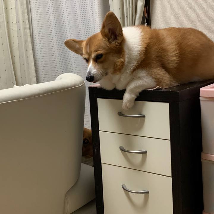 D9a8a663 6477 45b5 a544 97568563658e 1574250016988