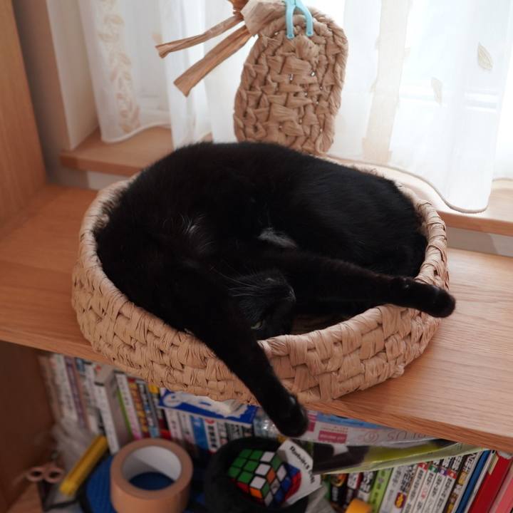 D9a8c40f 6e54 4d8a af5f 43b1592ce704 1590449887649