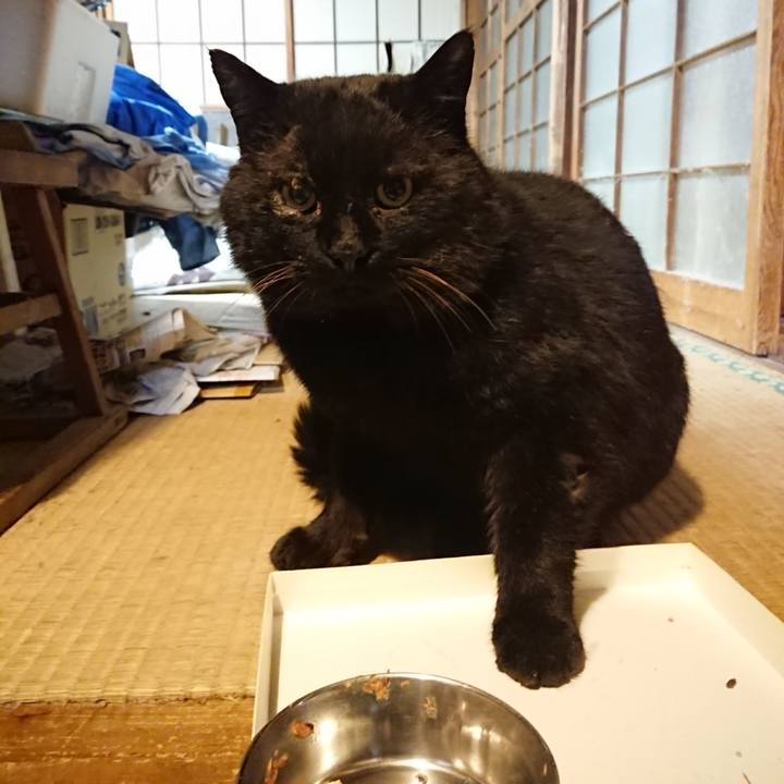 D9a8f03c dcc8 48cf acd5 c630241c968f 1615200236058