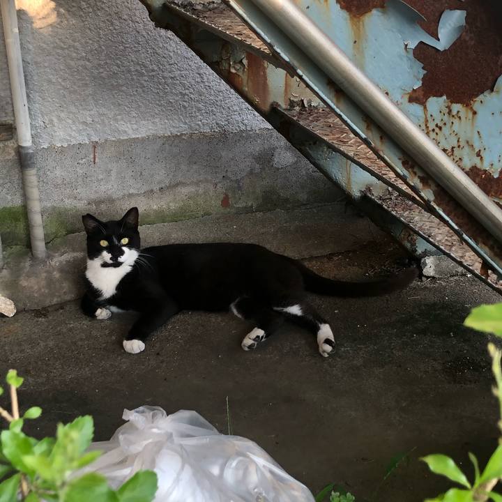 D9a9c78a 616a 4ed8 a068 74dc3387889b 1599975376502