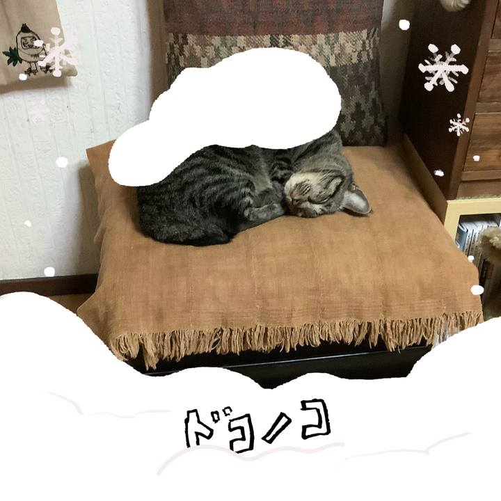 D9aa2525 08da 47aa 9e76 0143c917a247 1772114245209