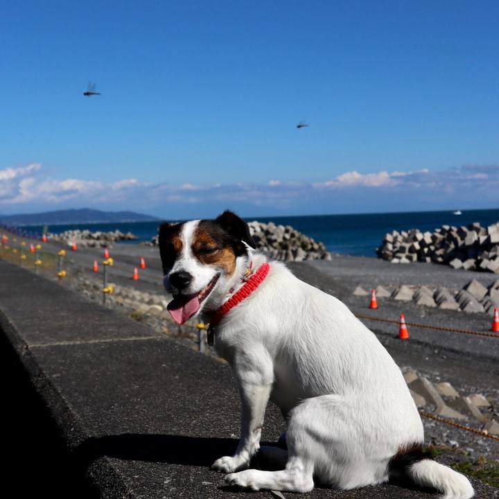 D9aa314c e55e 415b a9a7 031a9c0aa66e 1603533273561