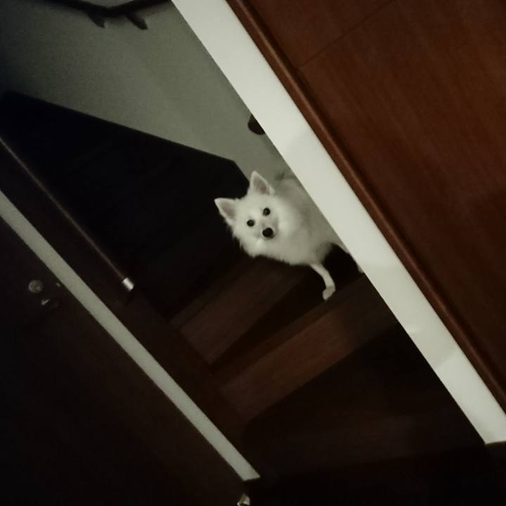 D9aa6d1a b653 4f23 a717 18a0151c8a9f 1533644565898