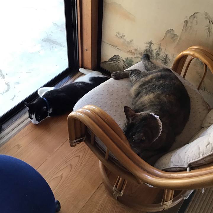 D9aa8f85 8ce5 410c 8d5e 57d603833e25 1753780835491