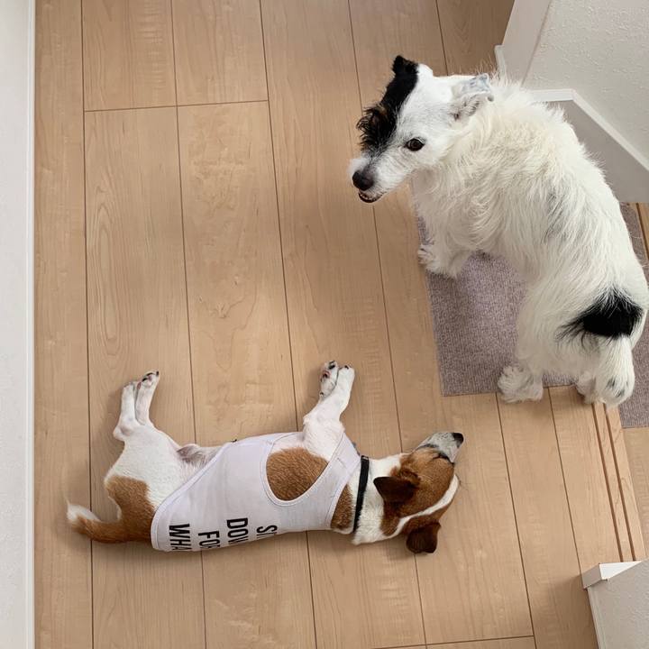 D9aa95c2 a291 4735 b4c7 c731b70c4204 1565051478358